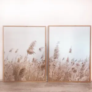 Conjunto Cuadros Canvas Campo Cola de Zorro