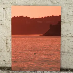 Cuadro Canvas Introspección JP