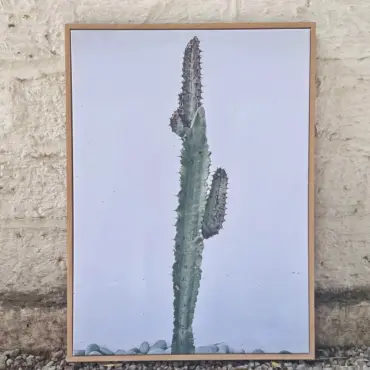 Cuadro Canvas Cactus