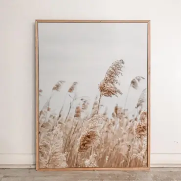 Cuadro Canvas Campo Cola de Zorro 2