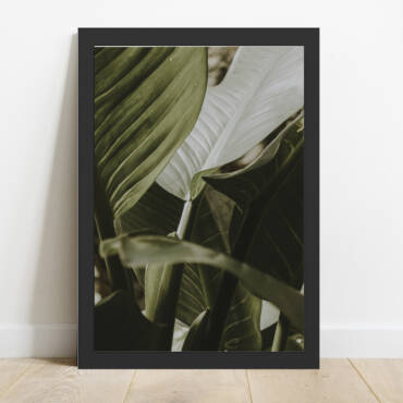 Cuadro Palmera Color